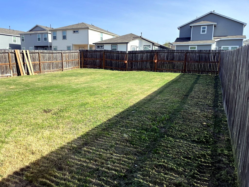 Open backyard after Restore My Yard cleanup