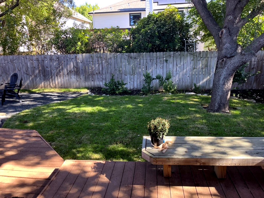 Back yard before Restore My Yard cleanup