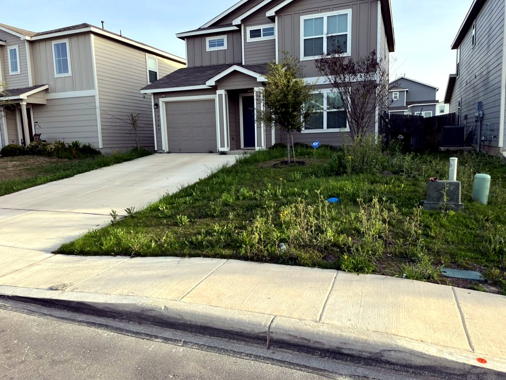Front yard before Restore My Yard cleanup